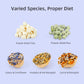 Niteangel Hamster Snack & Treats Toy: - Small Animal Natural Treat Mix for Dwarf Syrian Robo Hamsters