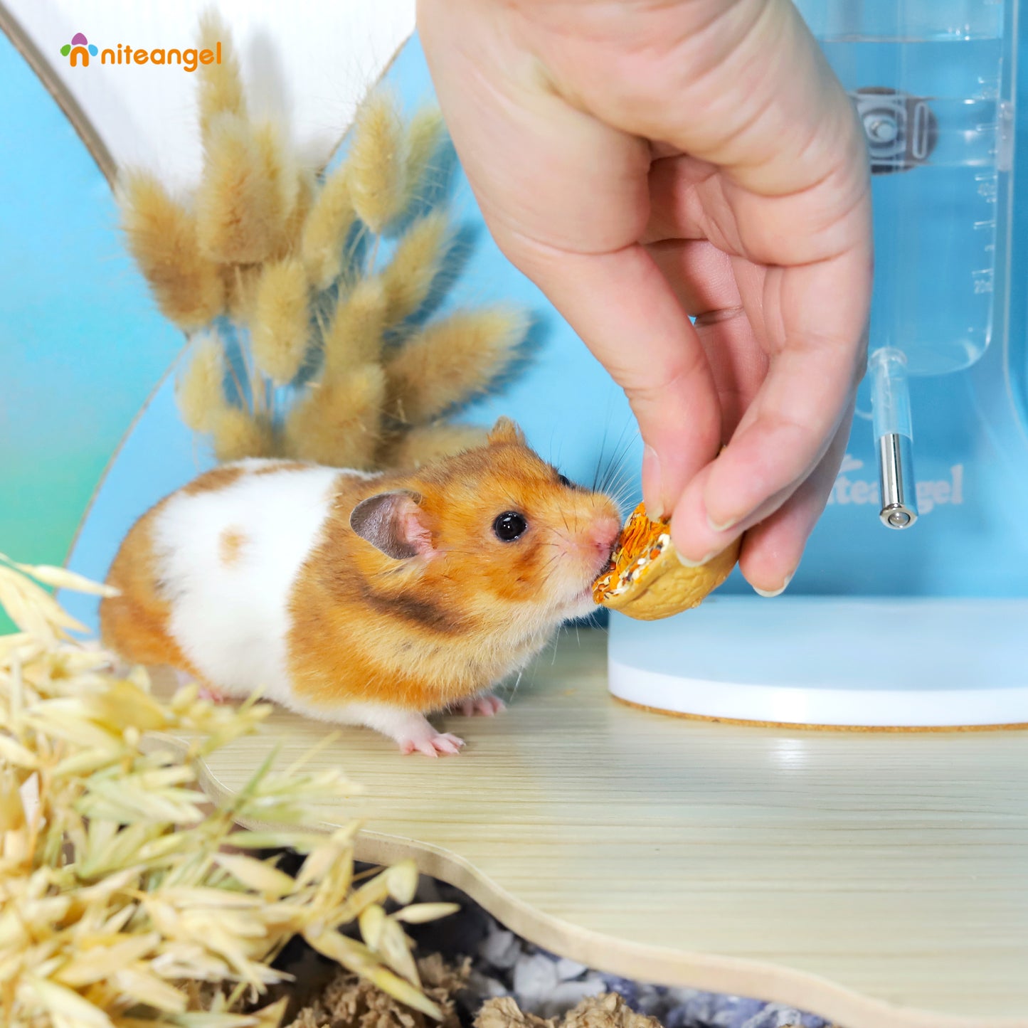 Niteangel Hamster Snack & Treats Toy: - Small Animal Natural Treat Mix for Dwarf Syrian Robo Hamsters