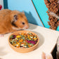 Niteangel Hamster Food & Treats Toy - Small Animal Natural Food for Syrian Golden Hamsters or Other Small-Sized Pets