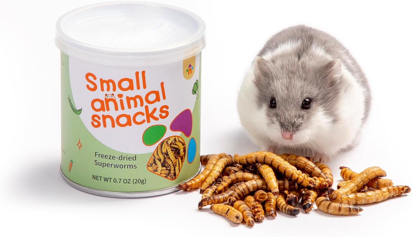 Hamster treats list best sale