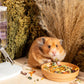 Niteangel Hamster Food & Treats Toy - Small Animal Natural Food for Syrian Golden Hamsters or Other Small-Sized Pets