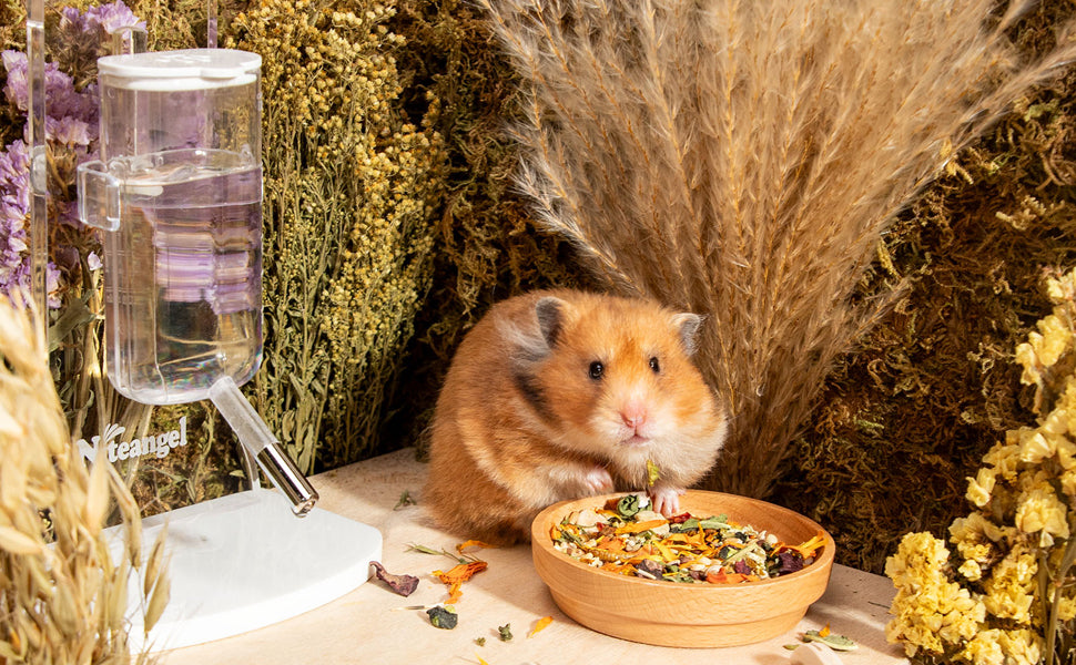 Niteangel Hamster Food & Treats Toy - Small Animal Natural Food for Syrian Golden Hamsters or Other Small-Sized Pets