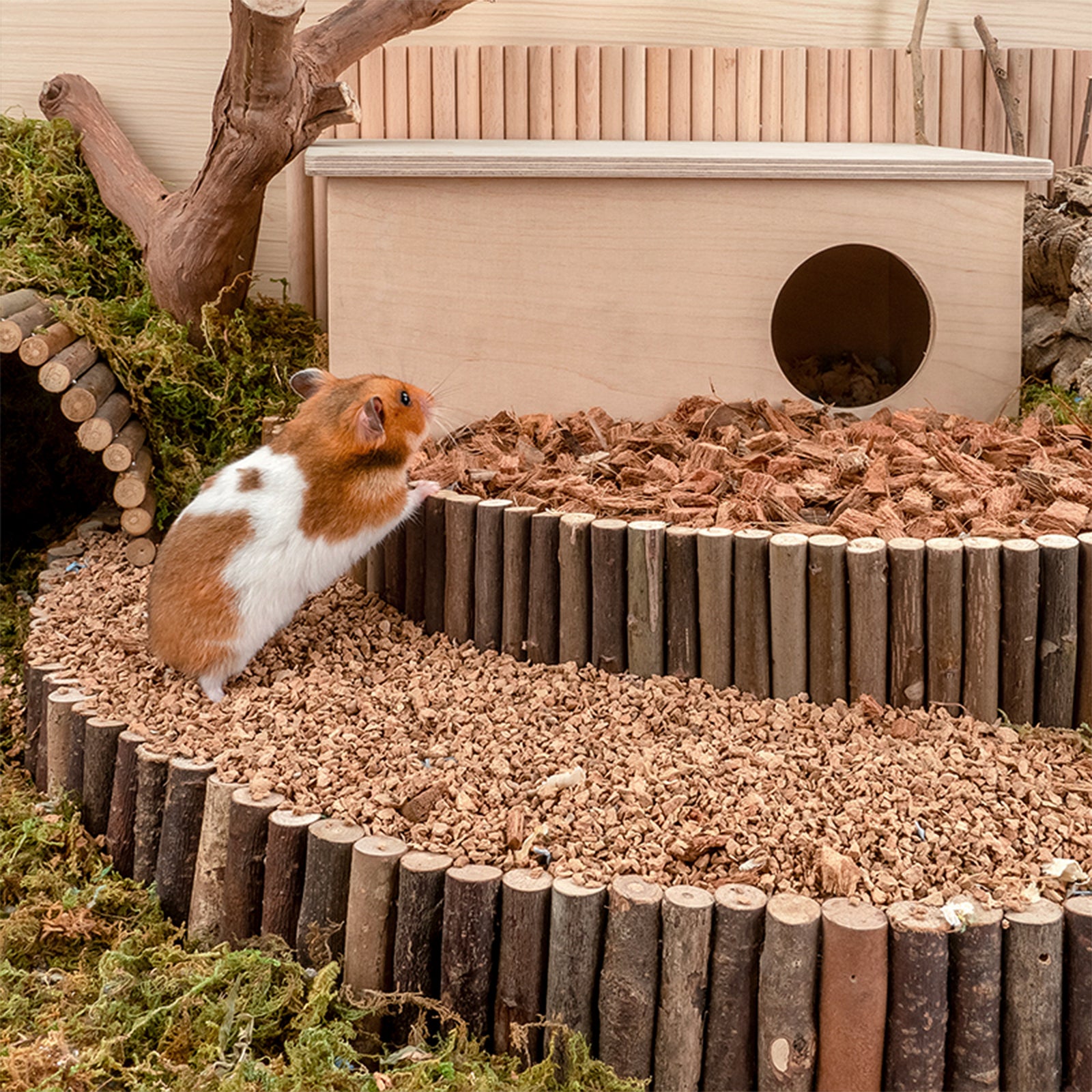 Natural cheap hamster bedding