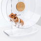 Niteangel Silent Hamster Exercise Wheel: Dual-Bearing Quiet Spinning Acrylic Hamster Running Wheel for Dwarf Hamster Gerbils Mice Degus Or Other Small Animals