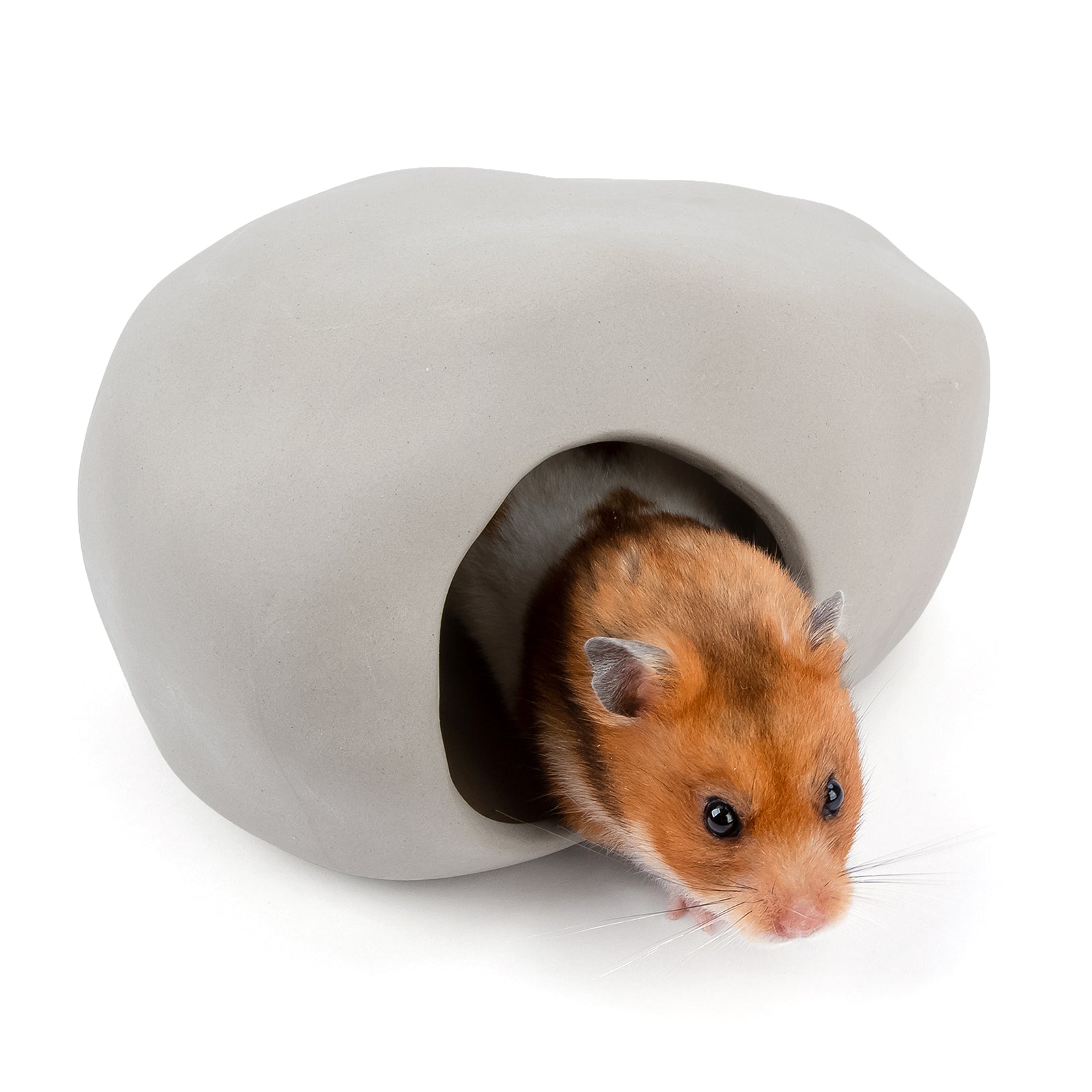 Dwarf hamster bed best sale