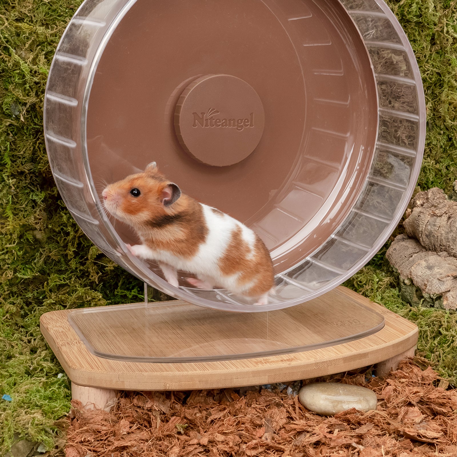 Hamster wheel store