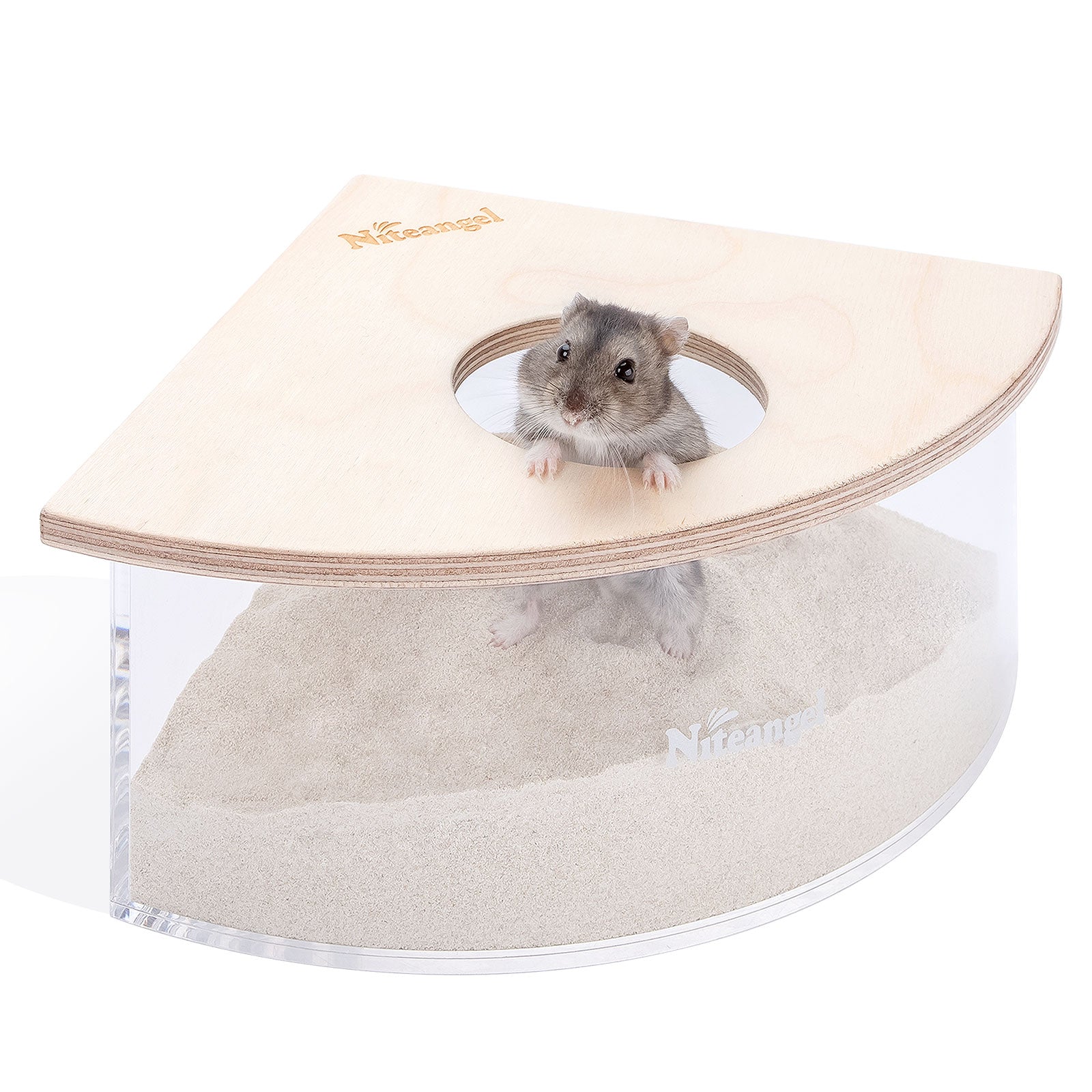 Niteangel Small Animal Sand-Bath Box - Acrylic Critter's Sand Bath Sho ...