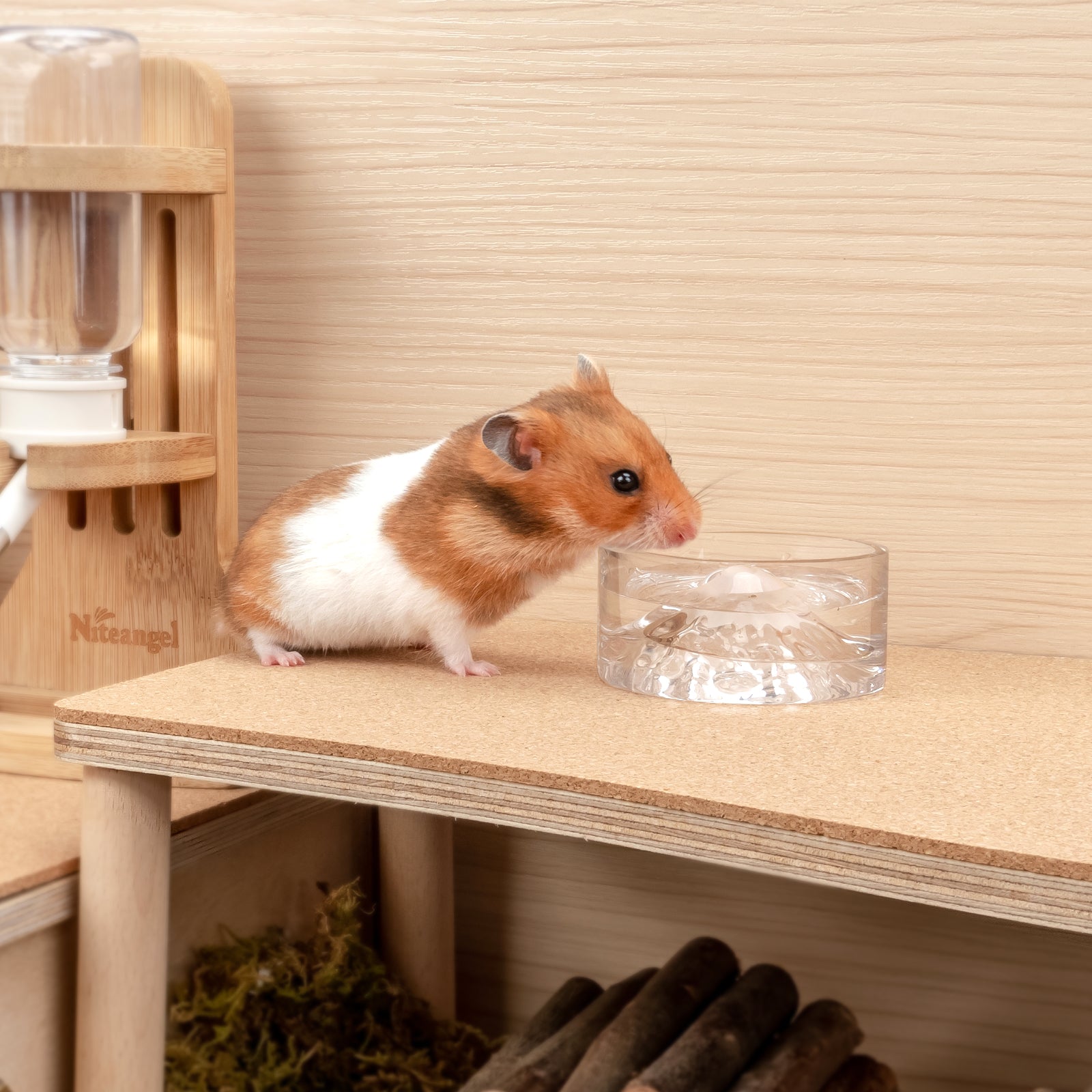 Hamster water shop dish